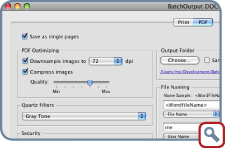 BatchOutput for Microsoft Office: PDF export options (screenshot)